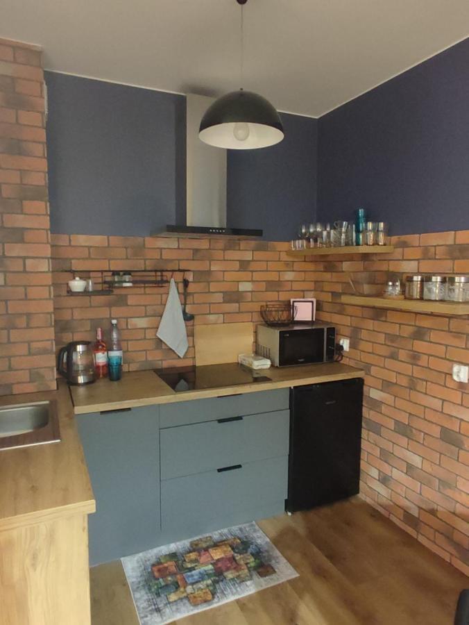 Lux Odkryj - Bieszczady Apartment Ustrzyki Dolne